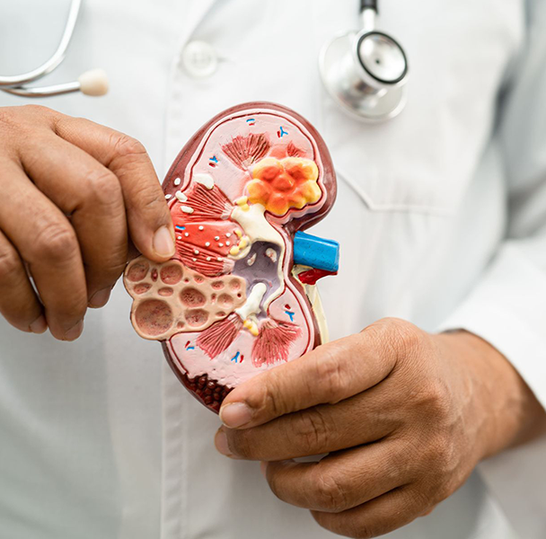 cirurgião urologista