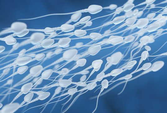 Como é Feita a Cirurgia de Vasectomia