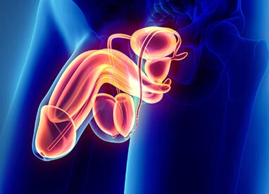 Como é Feita a reversão de Vasectomia