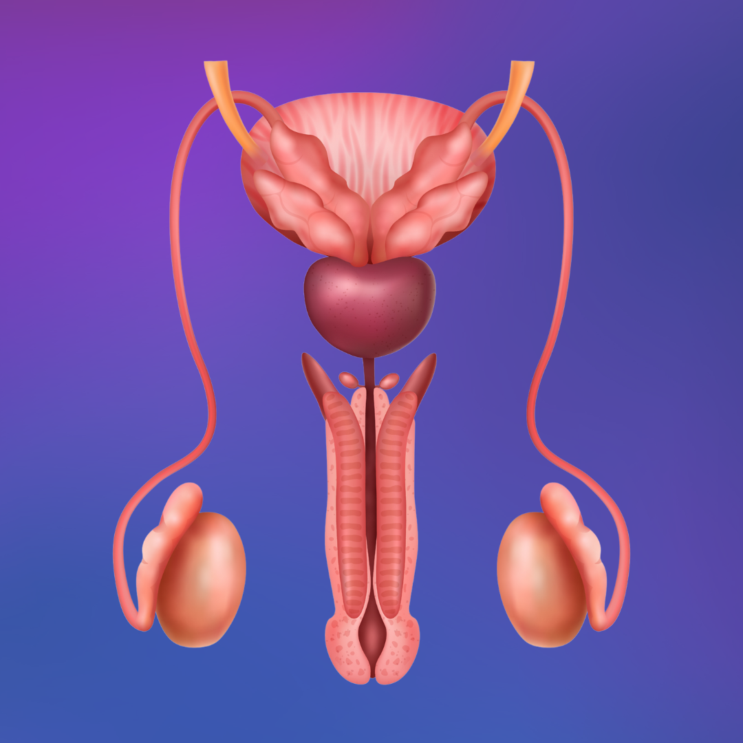 hidrocele.html